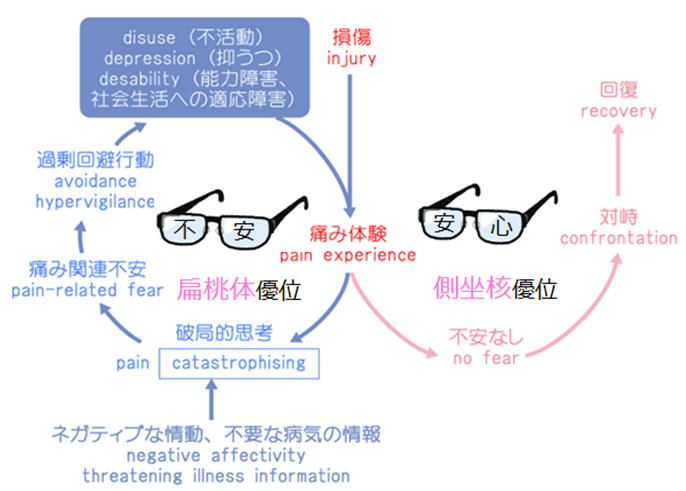 痛みの悪循環モデル