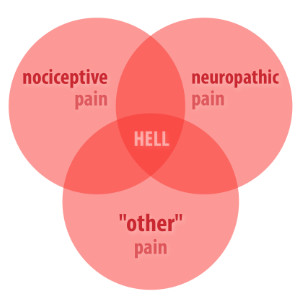 Nociplastic pain
