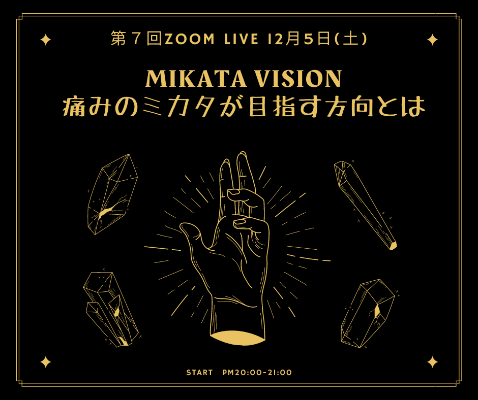mikata vision 痛みのミカタが目指す方向とは
